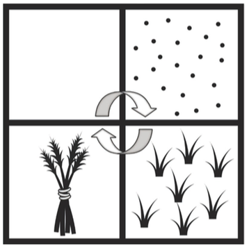 The Four Fields: empty field, sowing seeds, growing crops, harvested wheat — with rotation arrows
